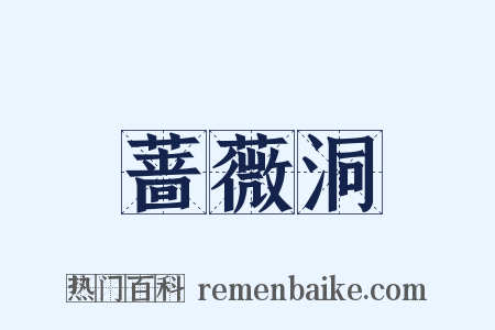 蔷薇洞是什么意思的图片